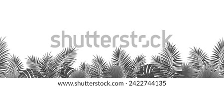 Amazon tropical leaves seamless pattern. vector illustration. Rainforest foliage template border frame. Jungle plants repeated banner. Black coconut palms leaves repeated background.