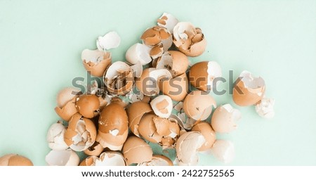Top view of egg shells being dried, eggs shells gathered for zero waste and a sustainable lifestyle