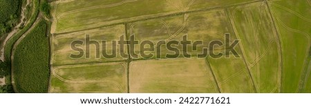 Aerial view top view Rice fields farm. Panorama Green rice baby paddy field plantation in Asia against. concept organic agricultural food farmer.