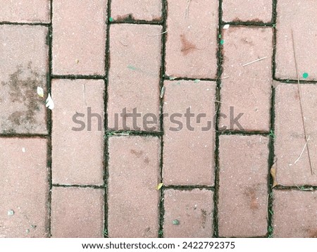 faded colored paving block texture with a few twigs