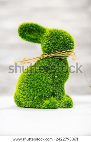 Studio photo of concept Easter Bunny, grass bunny, blurry background, close up view

