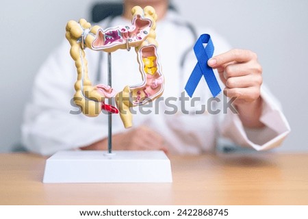 Doctor holding Blue ribbon with human Colon anatomy model. March Colorectal Cancer Awareness month, Colonic disease, Large Intestine, Ulcerative colitis, Digestive system and Health concept Royalty-Free Stock Photo #2422868745