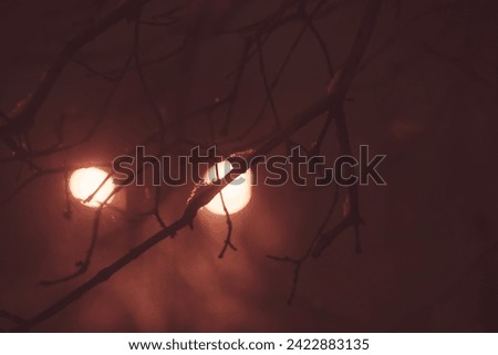 Long exposure photography in winter night. Eletrical light of street lanterns. Desert public park alley in the winter night in Moscow. No people.