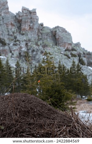 This image shows a large anthill with small dry branches, in focus, against a snow-covered rocky mountain range. The low-angle shot emphasizes the anthills size and the blurred background.