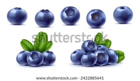 Realistic raw isolated ripe blueberry fruits. Vector 3d blue berries of blueberry, bilberry or huckleberry. Fresh fruit bunches with green leaves, juicy berries of wild forest or farm garden plant Royalty-Free Stock Photo #2422885641