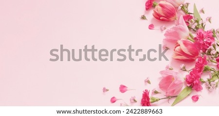 beautiful spring flowers on pink background Royalty-Free Stock Photo #2422889663