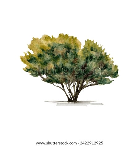 Green leaves tree.  Forest plants nature design clip art. Watercolor illustration isolated on white background. Hand drawn element for tourism, outdoors, off-roading, camping, recreation designs