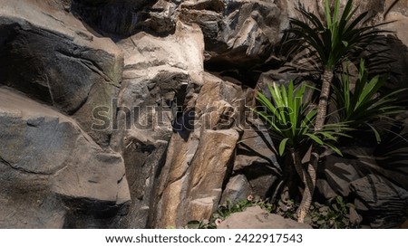 Huge rocks stone and light shining down, resembling a cave., tree trunk with roots, background landscapes