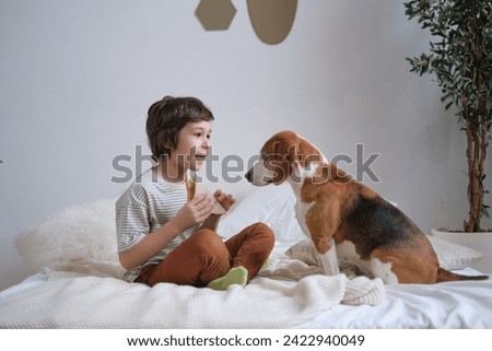 The curious gaze of a beagle meets a child's offer of food, a picture of trust and the sharing spirit inherent in the bond between kids and their pets.