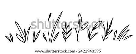 Field herbs, different twigs, stems and leaves, wild plants, blades of grass. Nature and vegetation. Simple hand drawn vector illustration with black outline. Sketch in ink. Royalty-Free Stock Photo #2422943595