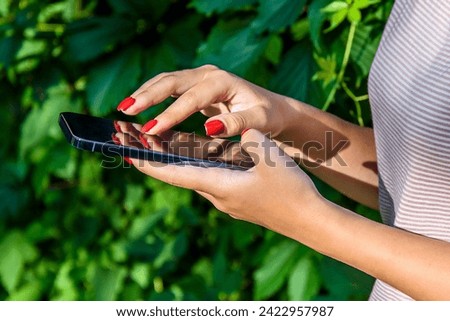 A phone in the hands of a girl on a summer evening against the backdrop of a green wall of wild grapes in the rays of the setting sun.
