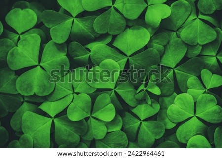 Background with green clover leaves for Saint Patrick's day. Abstract pattern with a shamrock. Spingtime nature background. Vintage film aesthetic. 