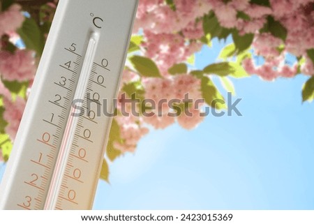 Thermometer and blossoming sakura tree outdoors, low angle view. Temperature in spring Royalty-Free Stock Photo #2423015369