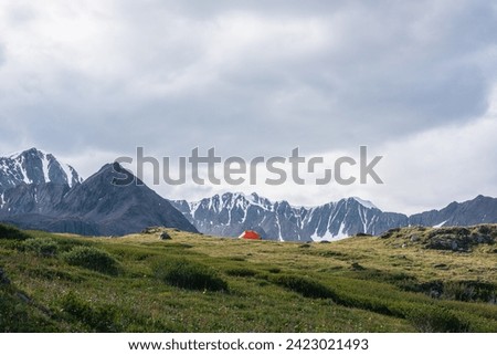 Wonderful multicolor blooming flowers and vivid orange tent on grassy hill against snow mountain range silhouette under gray cloudy sky. Colorful scenery with lush alpine flora on flowering meadow.