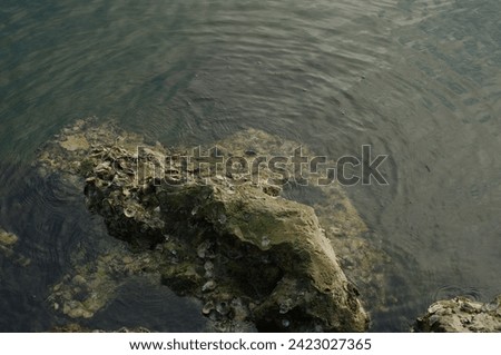 Water flowing around rocks in lower half of picture with small shells. Reflections in water with small ripple waves on a sunny day in Florida. Room for copy on a horizontal shot.