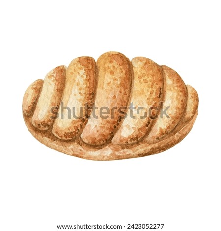 One cute scallop-shaped cookie. Pastries drawn in watercolor, illustration for menu, label, packaging, bakery or cafe isolated on white background