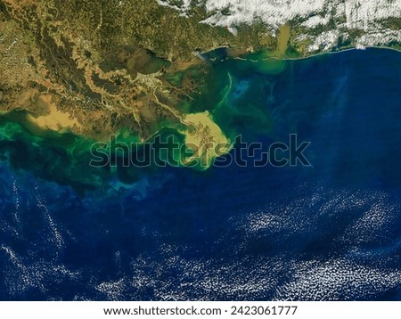 Mississippi River delta. Mississippi River delta. Elements of this image furnished by NASA. Royalty-Free Stock Photo #2423061777