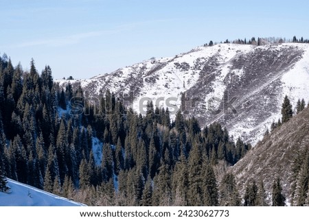Winter landscape in the mountains not far from Almaty.