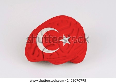 On a white background, a model of the brain with a picture of a flag - Turkey. Close-up