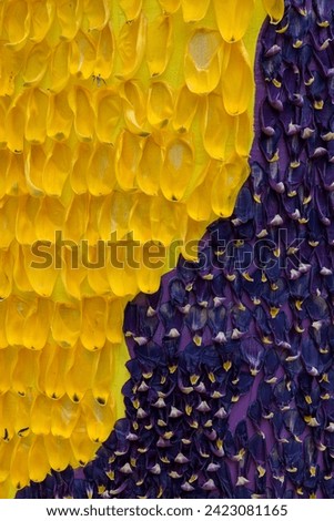allegorical floats made with tulip petals Royalty-Free Stock Photo #2423081165