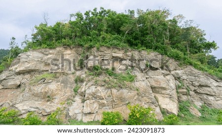 Pictures of places, natural views, steep rock cliffs slope Under the cliff there are bushes of small yellow flowers, and patches of grass grow. Above are large trees, a lush green forest. 