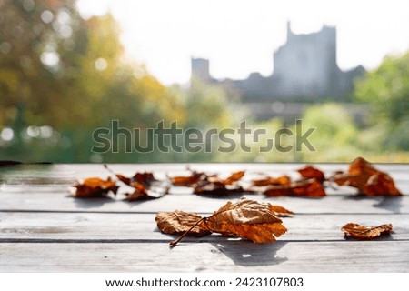 Closeup of fallen leaves on a gray plank table in a park in Ireland with the background of a medieval castle illuminated in the morning
