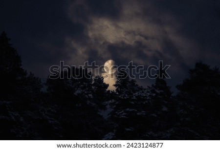 full moon shinning through the clouds and trees