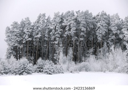 winter landscape with snow on tree branches and fields