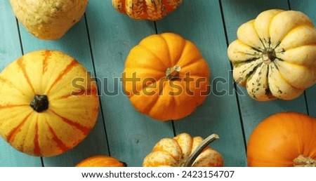 Autumnal Elegant, Thanksgiving Decor with Leaves and Pumpkins on a Dark Background Royalty-Free Stock Photo #2423154707