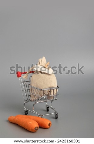 Shopping cart with food to do business