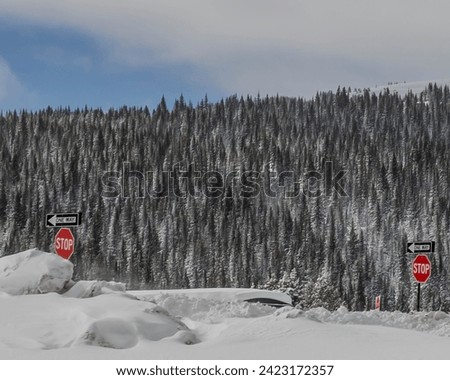 No Right Turn. Left turn only with one way signs and stop signs surrounded by snow and mountains and evergreen trees in Colorado USA January 2024