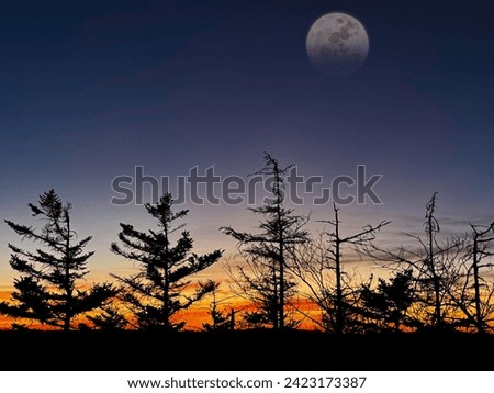 Tree line silhouette against a West Virginia sunset and moonrise over the Appalachian Mountains