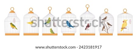 Decorative birds in cages. Domestic exotic bird cages, parrot, finch, budgie, canary and cute cockatoo flat vector illustration set. Cartoon birds sitting in cages Royalty-Free Stock Photo #2423181917