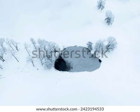 aerial view of snow covered deciduous tree and pond