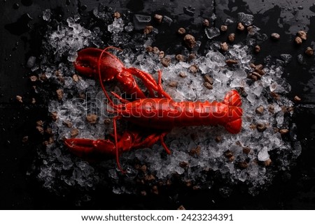 Fresh lobster food on colourfull  background. Top view,red lobster ,lime,slate plate ,red lobster , lemon ,Cooked lobster,wooden board,Canadian Lobster, dinner,Grilled cheese lobster,Boiled 
 Royalty-Free Stock Photo #2423234391