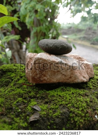 photo of two stones on mossy bricks