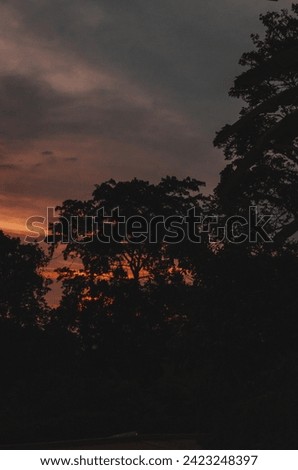 landscape photography of a Colombian sunset with different colors such as blue, purple and orange where the silhouettes of the palm trees, trees and mountains stand out