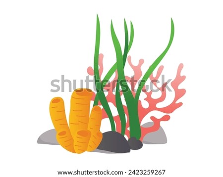 Vector of seaweed, algae, and coral plants on white background