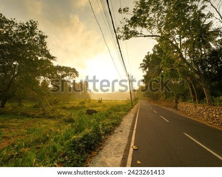 Morning Nature Photos, Stock Images 