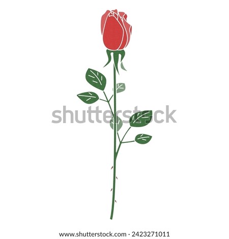 illustration of a single rose, bud rose vector