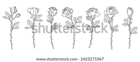 Clip art set of rose, line drawing, variation material