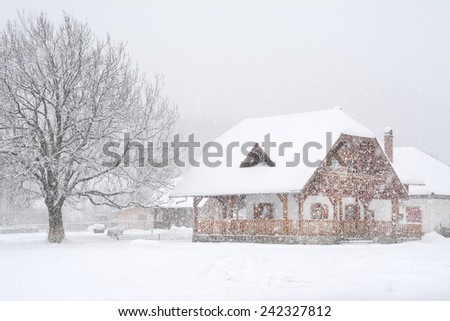 Winter snowing landscape