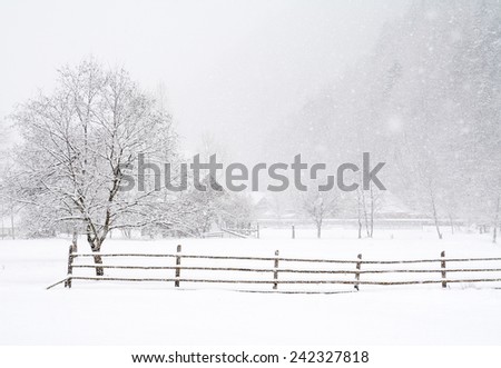 Winter snowing landscape