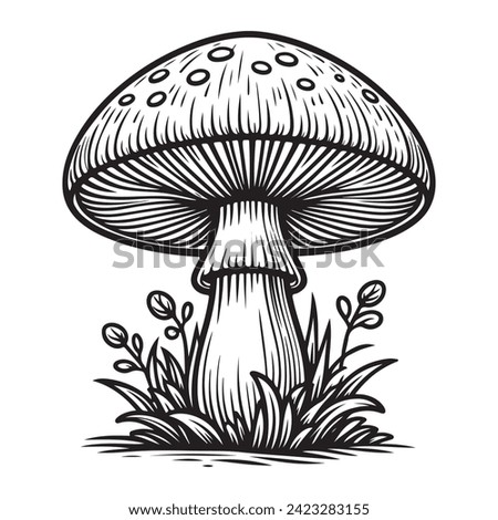 Mushroom coloring page black and white vector illustrations for kids Royalty-Free Stock Photo #2423283155