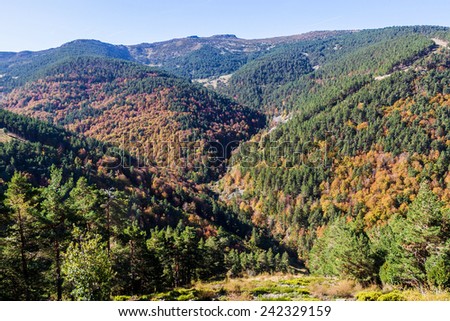 Autumn view of Natural park Sierra de Cebollera, Spain