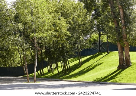 Recreation place in the city park. Pathway surrounded by trees and lawns in Kyiv, Europe Royalty-Free Stock Photo #2423294741