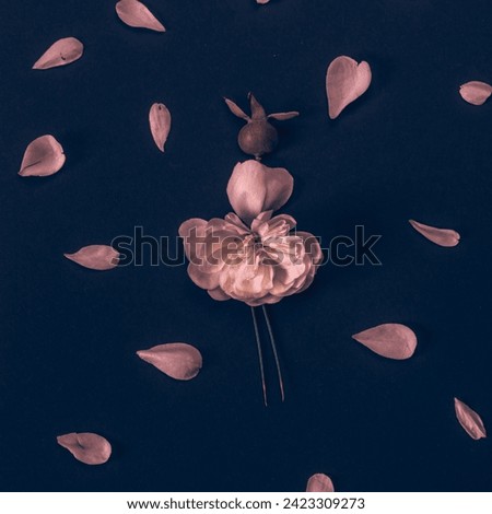 female figure made from pink rose flower petals, isolated on black background