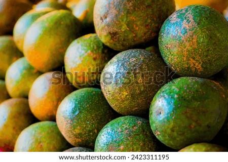 Fresh avocados on a fruit stand at Chiang Mai Province, Thailand.