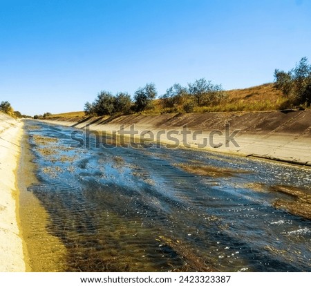 Concrete water conducting channel, irrigation canal became shallow, silting (obliteration) and overgrown with aquatic plants (macrophytes) due to lack of water and current now Royalty-Free Stock Photo #2423323387