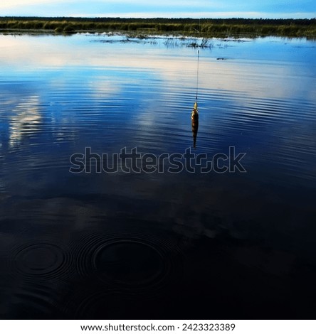 Fishing at sunset. Catching predatory fish on spinning. Sunset colors on the water surface, sunny path from the low sun. Perch caught on yellow spoonbait Royalty-Free Stock Photo #2423323389